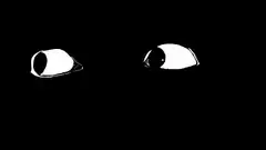 white eyes on black background