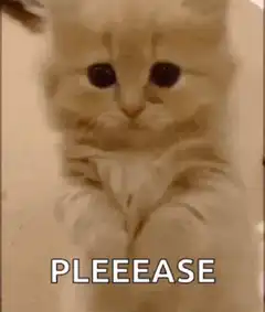 pleeease kitten begging