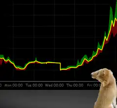 doge watching stock chart go up
