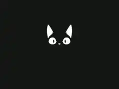 white cat face blinking