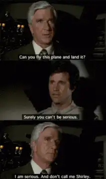 Can you fly this plane and land it? Surely you can't be serious.
