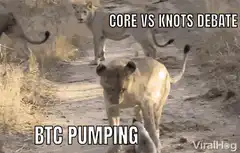 Lion vs Honey Badger Core vs Knots Debate
