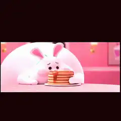 Snowball eating pancakes