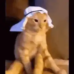 Orange cat wearing a white headscarf