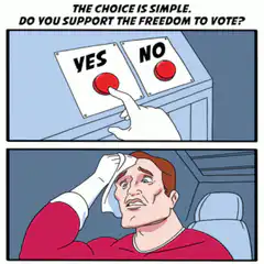 The Choice Is Simple Voting Button