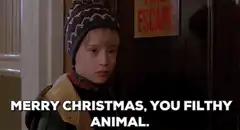 Merry Christmas You Filthy Animal