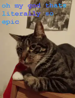 epic cat with red cape