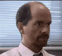 Ned Ryerson suspicious look
