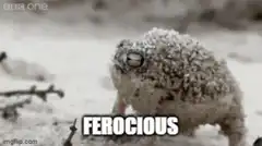 ferocious toad