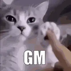 Cat Paw Bump GM
