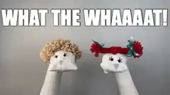 Sock puppets shocked WHAT THE WHAAAAT