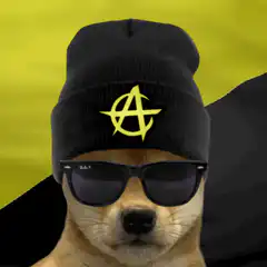 Doge with anarchy beanie