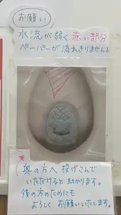 Toilet usage instructions with drawings