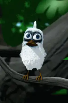 Bird gets electrocuted on a branch