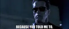 Terminator Because You Told Me To