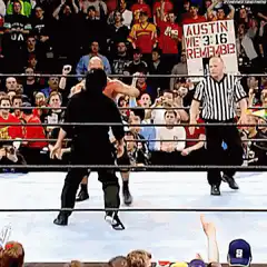 Stone Cold Steve Austin vs The Rock