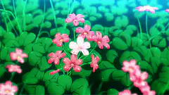 Pink and white flowers in a green field