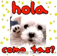 cute dog says hola como tas