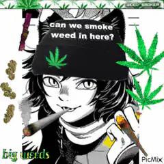 anime girl can we smoke weed in here