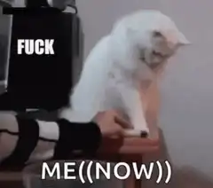 White cat knocking things off table
