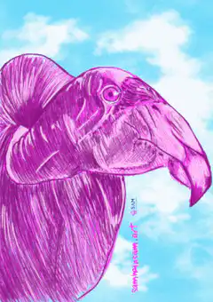 Purple Vulture Head