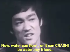 Bruce Lee be water my friend