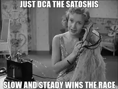 Just DCA the Satoshis
