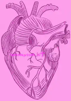 anatomical heart drawing bleeding