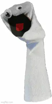 Sock puppet turns head