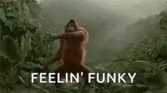 Dancing orangutan feelin funky