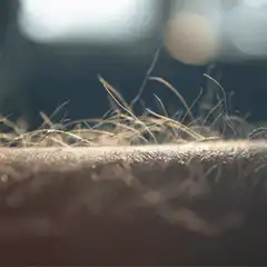 Close up of goosebumps on skin