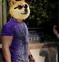 Buff Doge removes sunglasses