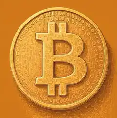 Shiny Bitcoin Coin
