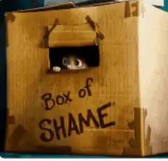 Cat in box of shame