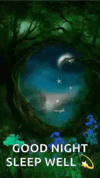 Good Night Sleep Well Moon Animation