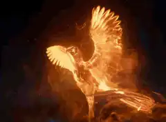 Phoenix rising from flames
