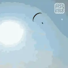 paraglider crashes into lake