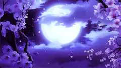 cherry blossoms falling in front of moon