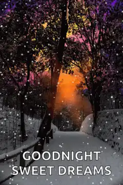 Snowy path with goodnight sweet dreams text