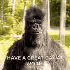 gorilla giving thumbs up then middle fingers