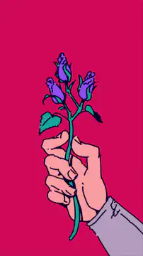 hands holding roses blooming