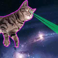 Space Cat Laser Eyes