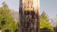 Twin Peaks utility pole numbers