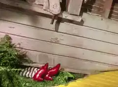 Dorothy's ruby slippers and striped socks