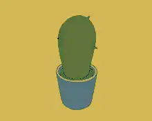 Cactus in a pot