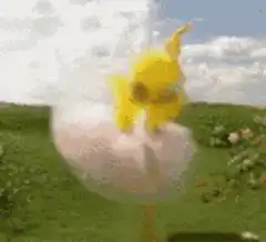 yellow duck in tutu dancing
