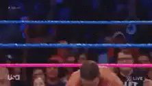 Wrestler raises arms in victory