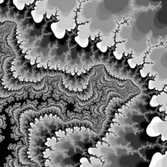 Black and white fractal zoom animation