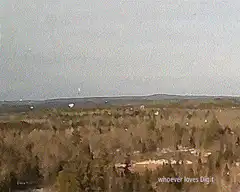 white objects falling from sky