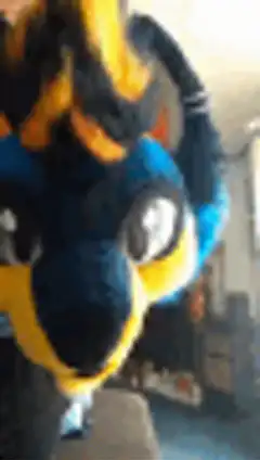 furry mascot head bobbing